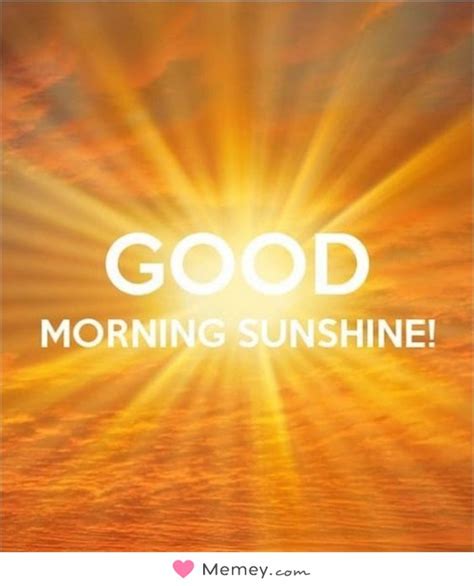 good morning sunshine meme|More.